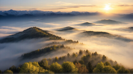 Sunrise in the mountains. Viewed from the top of the mountains. Trees in spring covered in fog. The upper layer of fog is exposed to sunlight so it turns golden