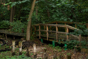 die Trockene Br&uuml;cke 