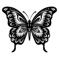 Butterfly vector silhouette illustration black color