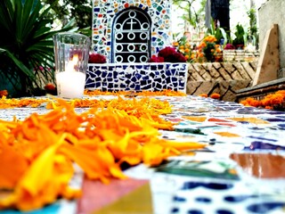 autumn in the park candle and rose day of the dead altar in México day of the dead altar in México tradition flowers tombs Altair altar offering
