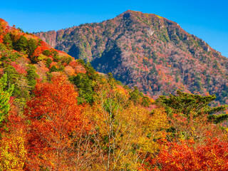 山が紅葉してきた秋の風景　愛媛県　石鎚山
