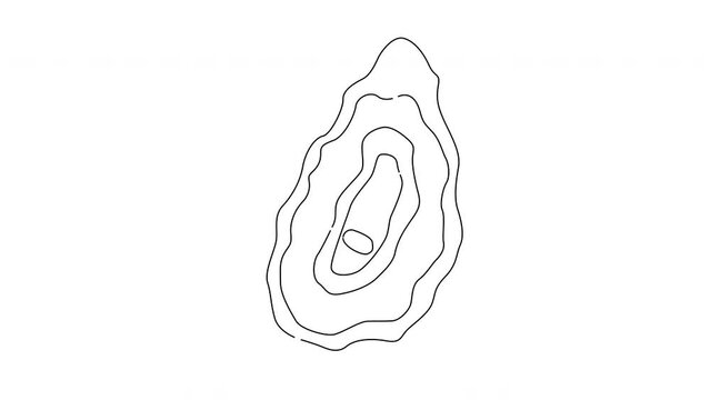 animated sketch of the oyster icon