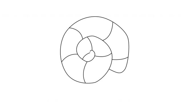 animated sketch of an ancient shell icon