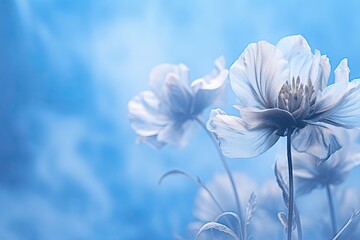 Blue Breath: Embracing Soft Blur in a Serene Blue Studio Background