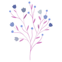 Colorful blue pink and purple fresh wild flowers and buds with stems and leaves