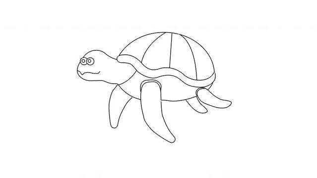 animated sketch of a turtle icon