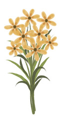 Illustration of yellow flower bouquet drawn in crayon and colored pencil
