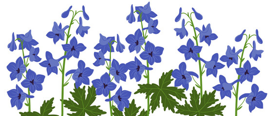 Delphinium, blue larkspur plants, vector drawing flowers at white background, hand drawn botanical illustration