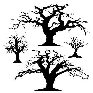 silhouette of a tree. silhouette of dead tree vector illustration. silhouette of trees and branches without leaves. Bare Tree silhouette. Black Branch Tree vector.