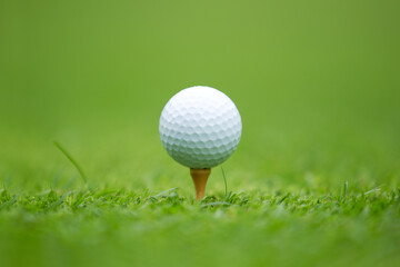 Golf ball on tee