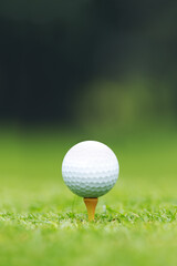 Golf ball on tee