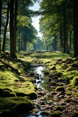 Obraz premium Forest clearing on a hillside, bathed in dappled sunlight, Generative AI