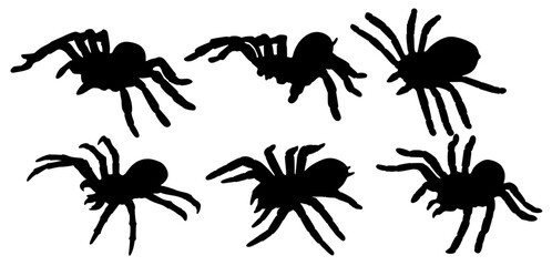 Set collections black spider silhouette animal icon. tarantula spider vector illustration - obrazy, fototapety, plakaty