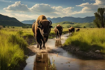 Papier Peint photo Lavable Buffle Herd of buffalo in the lush grasslands, Generative AI 