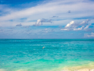 Fototapeta na wymiar Ocean view in Bahamas