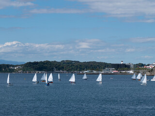 海岸の風景、ヨットのセーリングの練習