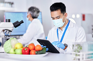 Scientist, study and laboratory with vegetable with tablet for test with online app for nutrition. Research, diet and science expert with food or technology for information with internet for quality.