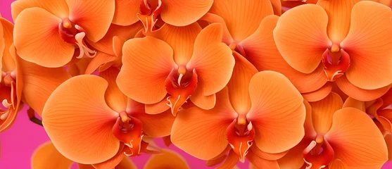 Fototapeten Bunch of orange orchid flowers detailed texture background from Generative AI © SevenThreeSky