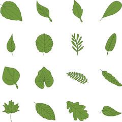 set of green leaves icon