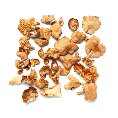 Tasty dried mushrooms on white background