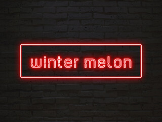 winter melon のネオン文字