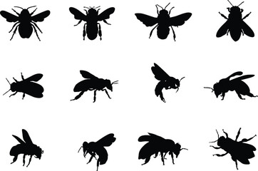 Honey bee silhouette, Honeybee silhouettes, Bee silhouettes, Flying bee silhouette, Honey bee icon, Bee vector illustration - obrazy, fototapety, plakaty