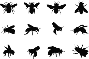 Fotobehang Honey bee silhouette, Honeybee silhouettes, Bee silhouettes, Flying bee silhouette, Honey bee icon, Bee vector illustration © DesignLands 