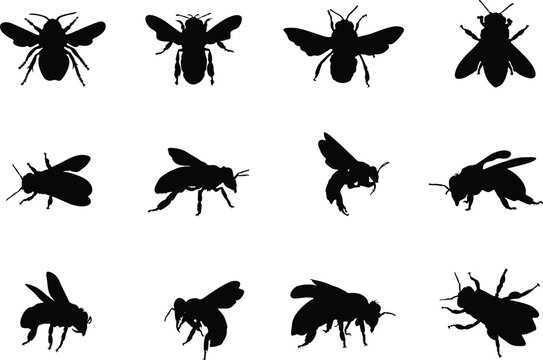Honey bee silhouette, Honeybee silhouettes, Bee silhouettes, Flying bee silhouette, Honey bee icon, Bee vector illustration