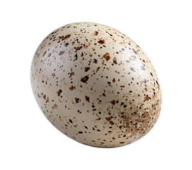 A speckled egg isolated on transparent or white background, png