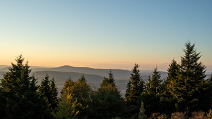 sunset in the forest