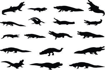Alligator silhouettes, Crocodile silhouette, Alligator svg, Crocodile and alligator silhouette, Alligator clip art - obrazy, fototapety, plakaty