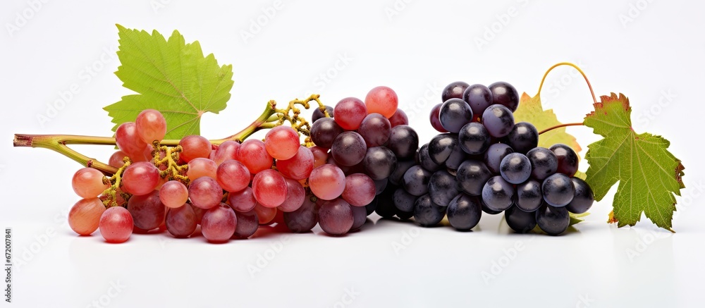 Aufkleber a white background is left empty providing space for your photo edits with a cluster of grapes and v