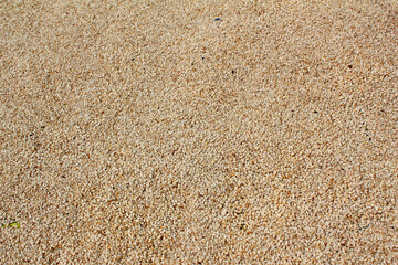 Heap of organic natural sesame seeds