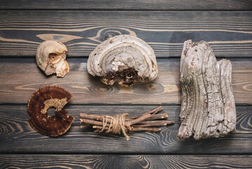 Dried forest tree branches, shelf fungus and wooden stump on the old wooden table background.