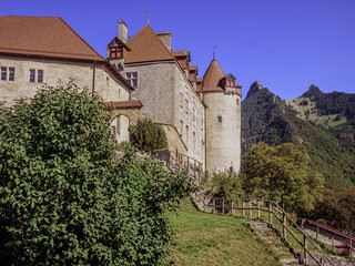Fototapeta na wymiar Steps To Chateau