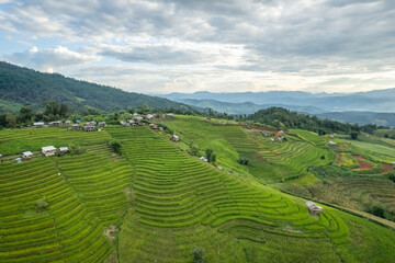 Fototapeta premium Aerial view of terrace rice field at Ban Pa Bong Piang, Chiang Mai, Thailand