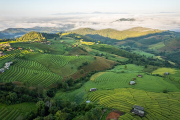 Aerial view of terrace rice field at Ban Pa Bong Piang, Chiang Mai, Thailand
