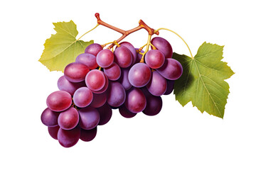 grapes with leaves on isolated transparent background