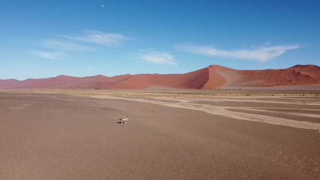 NAMIB ORYX DESERT BY DRONE
