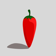 red hot chilli Illustration vector art design 