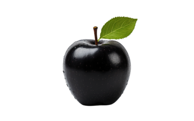 Twilight Harvest Legends and Lore of the Black Apple on White or PNG Transparent Background.