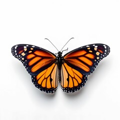 AI generated illustration of a monarch butterfly on a white background