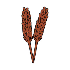 枯れたウツボグサ