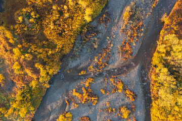 Top view of a small river in the autumn forest. Beautiful panoramic aerial photograph. Yellow crowns of trees. Fall season. Natural background.