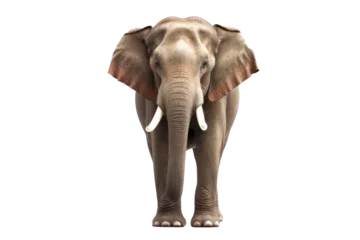 Zelfklevend Fotobehang Elephant standing - Thailand. Full-length image of an Asian elephant standing on transparent background.generative ai © Suralai