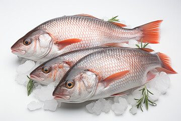 photo product of three fresh fish isolated transparent background ,generative ai