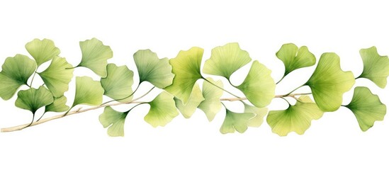 A frame made from watercolor artwork featuring ginkgo biloba leaves created by hand and placed on a white background Suitable for various purposes such as greeting cards invitations postcar - obrazy, fototapety, plakaty