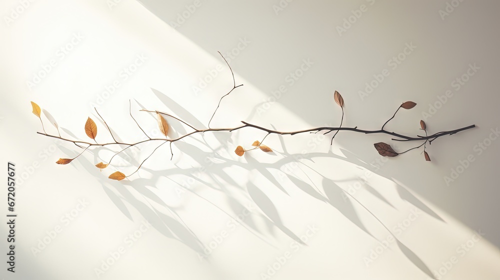 Aufkleber abstract tree shadow blurred background with leaves, tree branch and light shadow on white wall