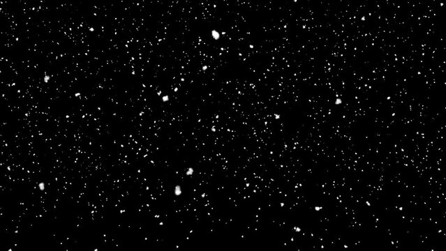 snow falling on black background