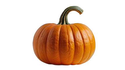 pumpkin transparent, white background, isolate, png